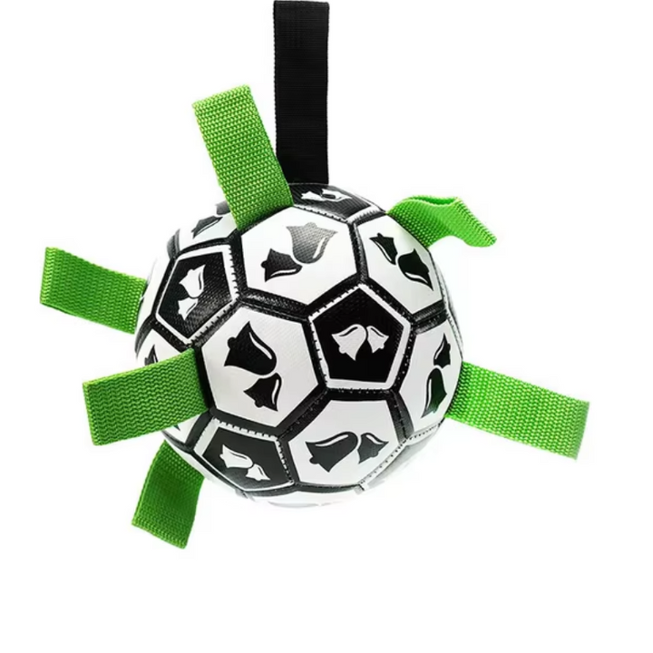 Interactive Soccer Brain Game for Dogs