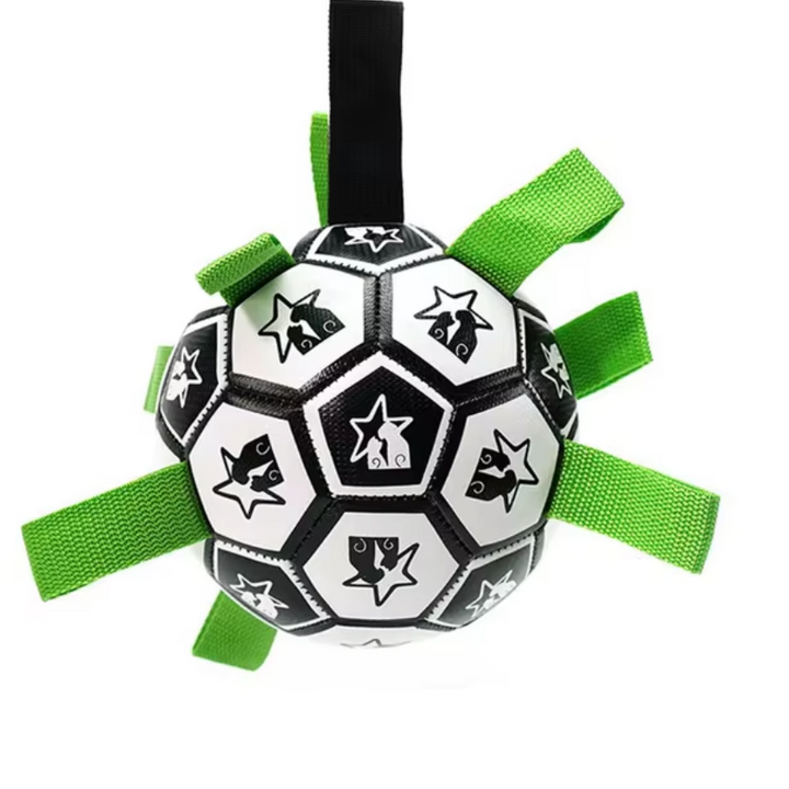 Interactive Soccer Brain Game for Dogs