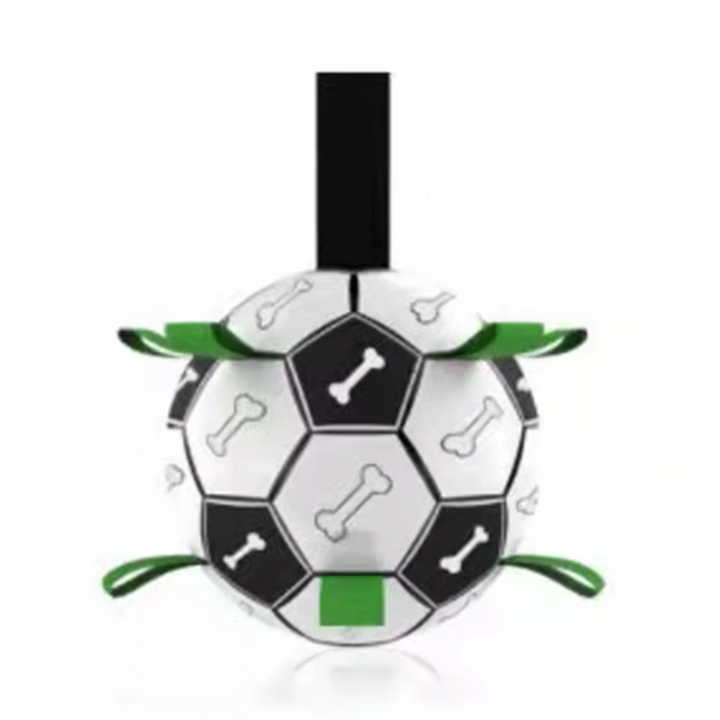 Interactive Soccer Brain Game for Dogs